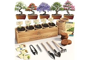 Planter's Choice Bonsai Tree Starter Kit - Unique Gifts for Women, Men - Christmas Gifts for Adults - Indoor Live House Plant