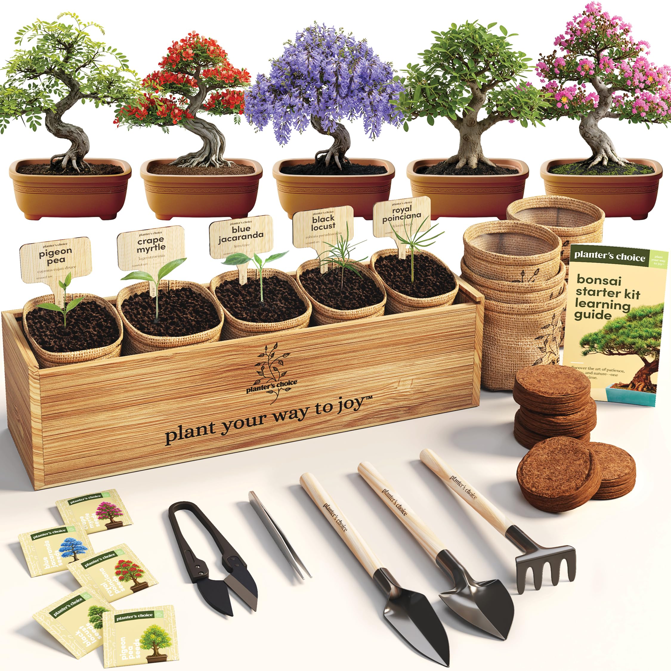 Photo 1 of ***FACTORY SEALED***Planter's Choice Bonsai Tree Starter Kit - Unique Gifts for Women, Men - Birthday Gifts for Adults - Indoor Live House Plants - DIY Crafts for Adults Craft Kits - Hobby Gift for Gardening Lovers
