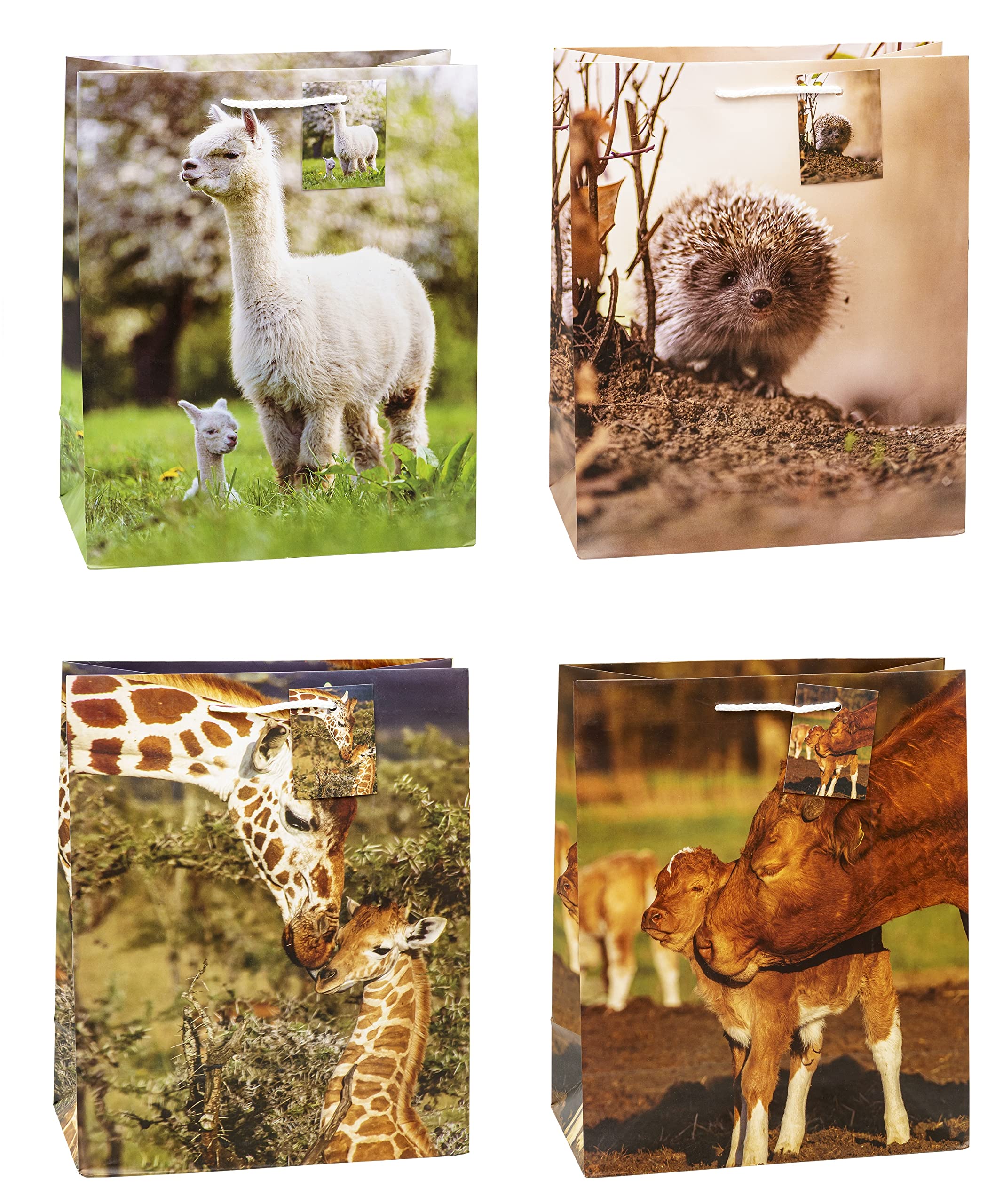 TSI 82312 gift bags Fairy Tale, Pack of 12, size: large (12,5 x 10 x 5,5 inch)