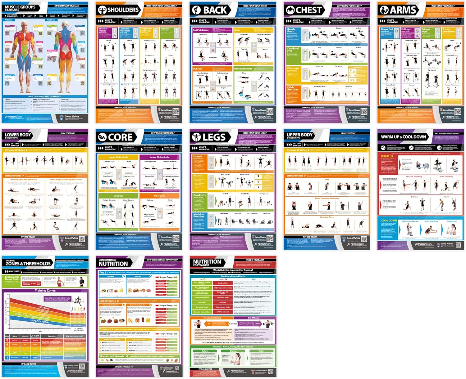 Posterfit Muscle Building & Conditioning Fitness Posters, Set of 13, Laminated, 594mm x 420mm (A2), Gym Workout Posters