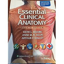 91TIqEyrFIL._AC_UL210_SR210,