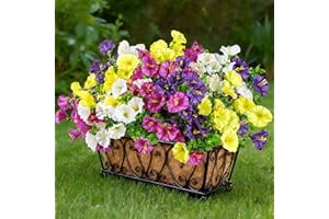 Der Rose 12 Bundles Artificial Petunias Flowers for Outdoors UV Resistant Spring Fake Morning Glory Flowers with Trumpet Bloo