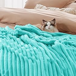 Bedsure Blue King Size Blanket for Bed - GentleSoft