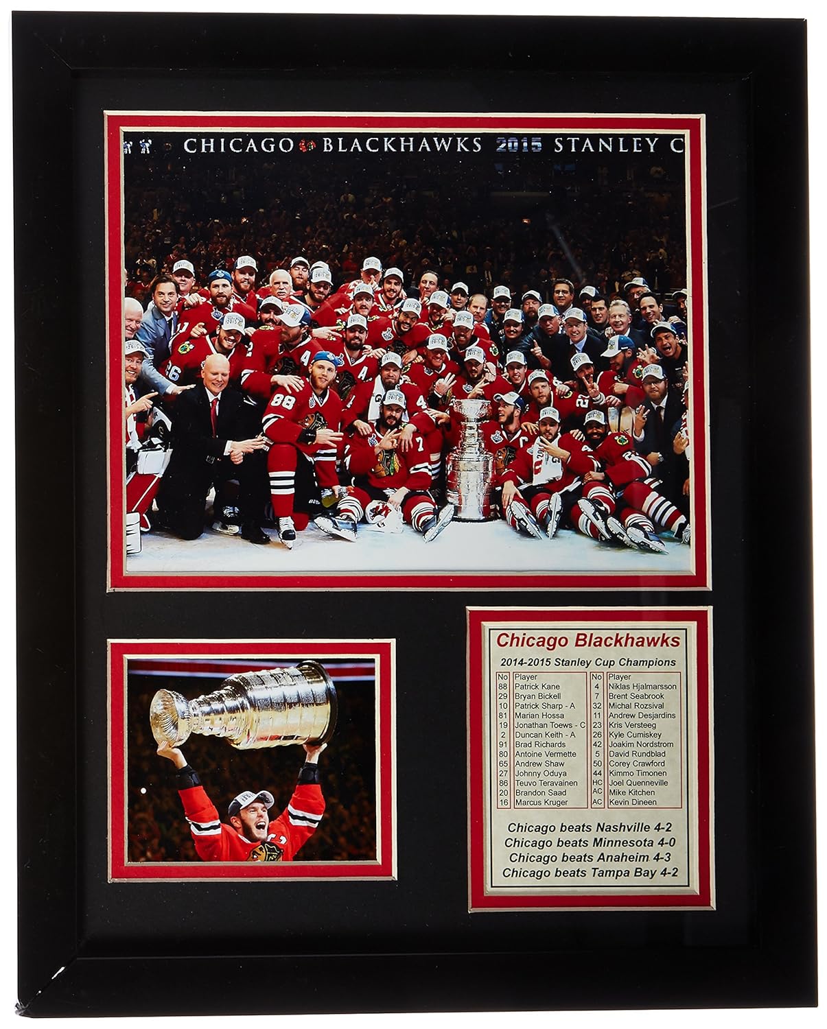 Best Chicago Celebration Stanley Cup