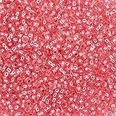 John Bead 24g Vial Czech Glass Seed Beads 10/0 Rose Silver Lined Beads for Jewelry Making Crafts