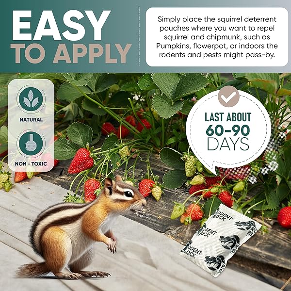 JL RODENT BLOCK SQUIRREL REPELLENT POUCH 6-PACK – POWERFUL AGAINST MICE, RACOONS, CHIPMUNKS, SNAKES, MOSQUITOS, ANTS. ALL NATURAL INGREDIENTS, REFILLABLE MESH BAG & CARABINER FOR HANGING