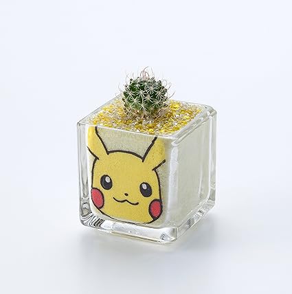 Amazon カラーサンドdeポケットモンスター ピカチュウ ホーム キッチン