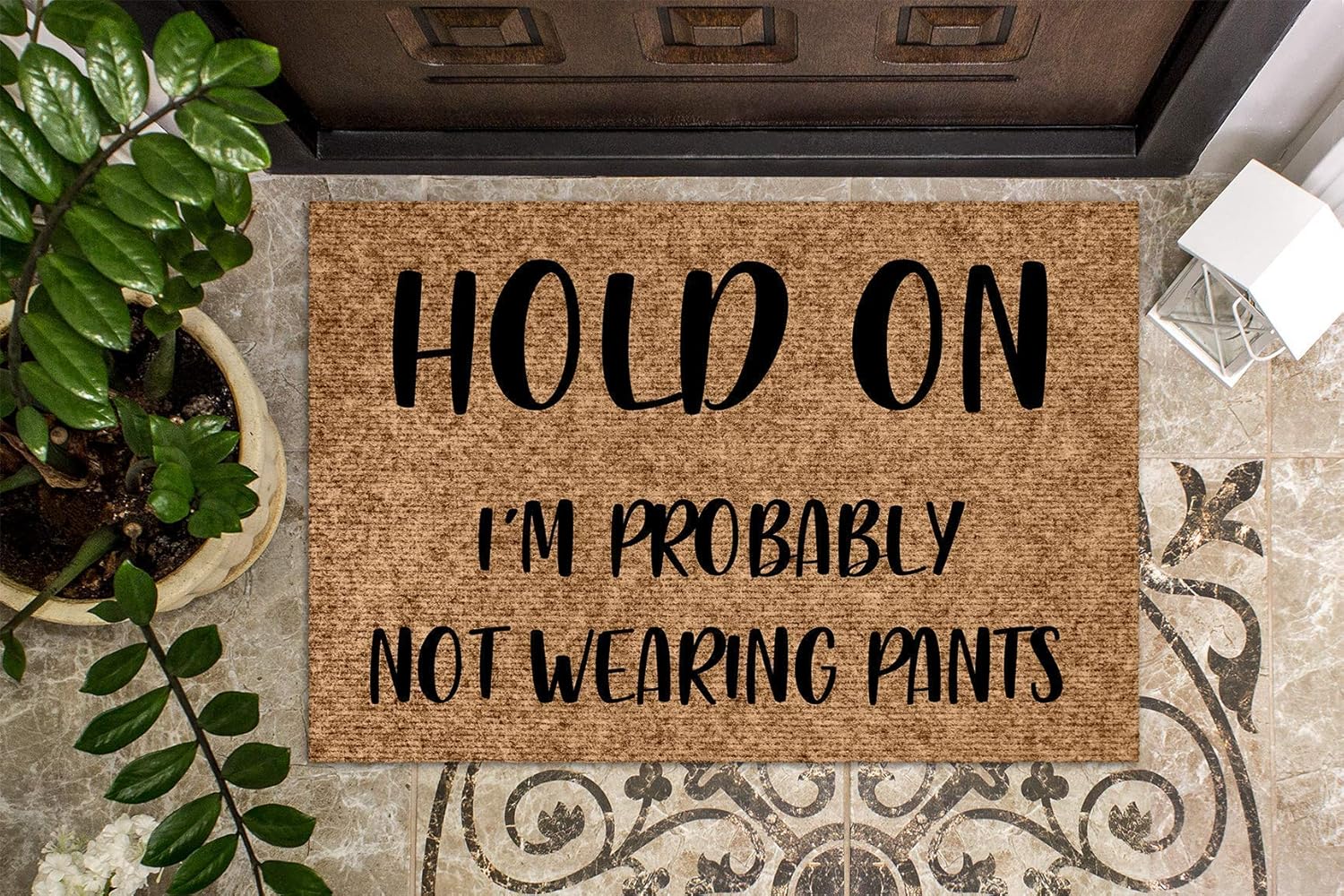 Hold On I'm probably not wearing pants Funny Doormat