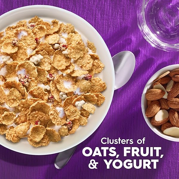 KELLOGG’S SPECIAL K BREAKFAST CEREAL FRUIT AND YOGURT, 17.9 OZ