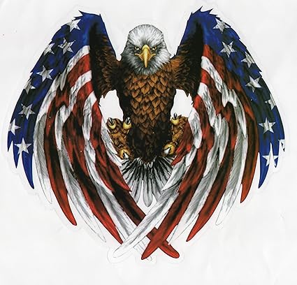 Amazoncom Sticker Big Eagle America Us Decal Boat Trailer