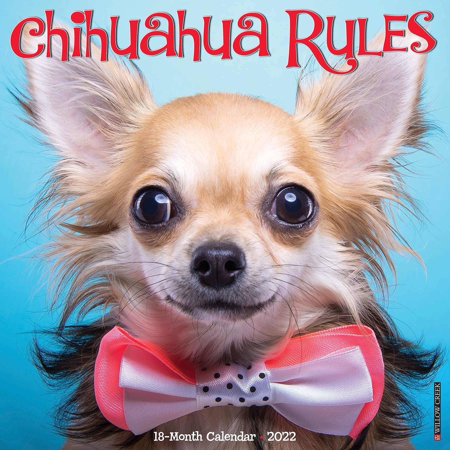 Chihuahuas Schedule 2022 Chihuahua Rules 2022 Wall Calendar: Amazon.co.uk: Willow Creek:  9781549217425: Books