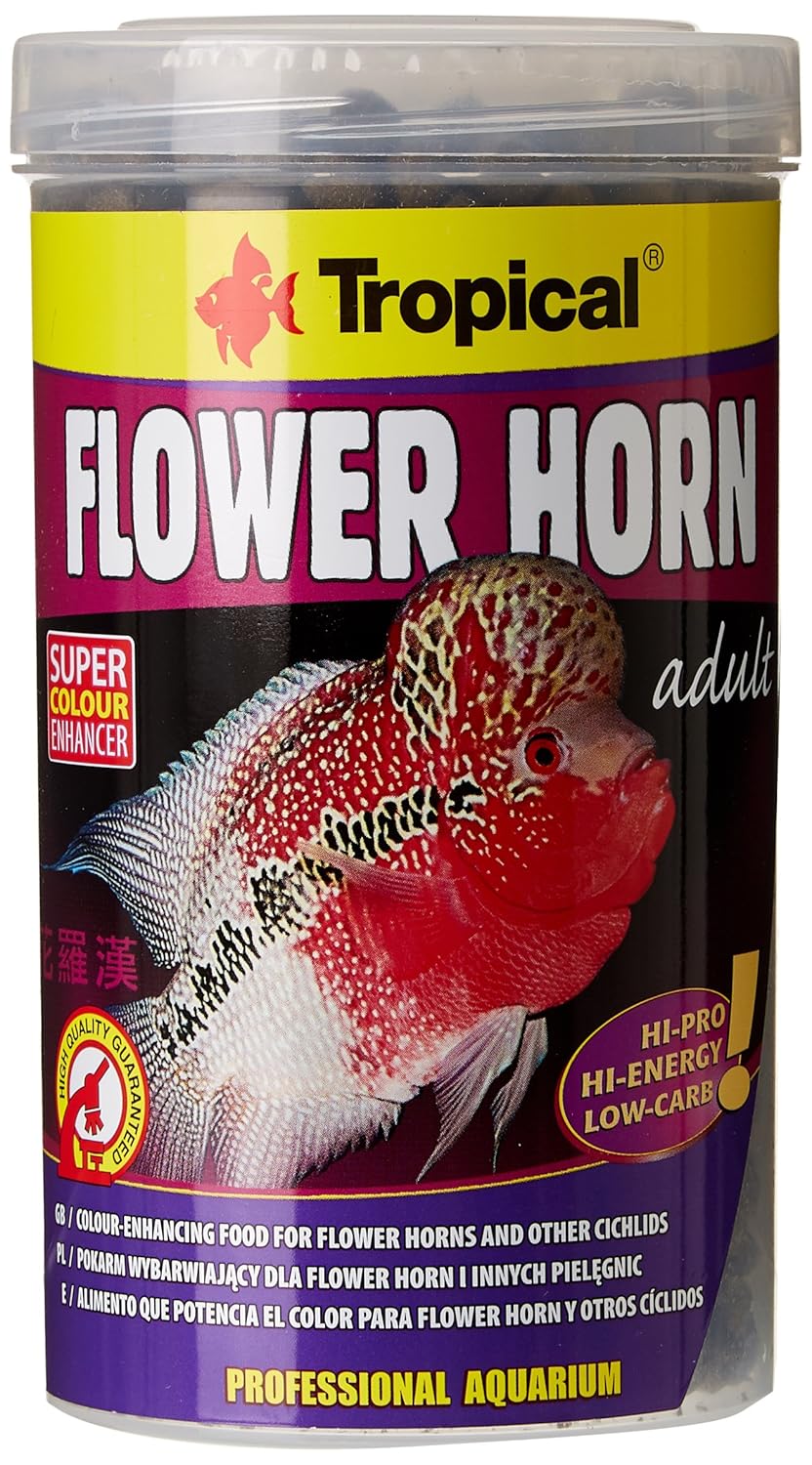 tropical flower horn