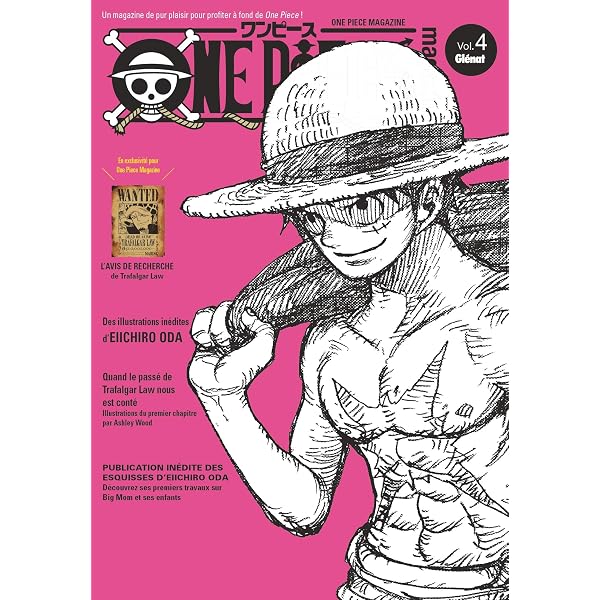 Amazon.com: One Piece Magazine - Tome 12: 9782344053010: Oda