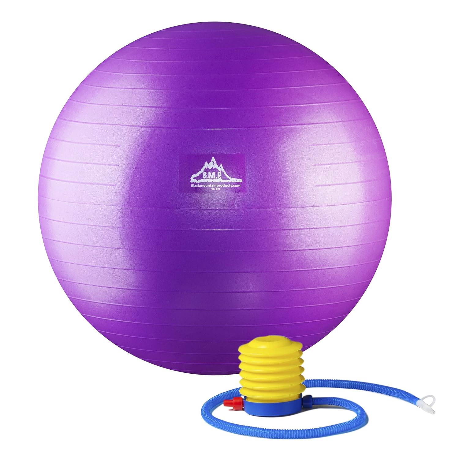 65-Centimeter Black Mountain Products PSPURP Professional Grade Stability Ball 1000lbs Anti-Burst 2000lbs Static Weight Rated