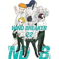 WIND BREAKER 22 : Nii, Satoru: Amazon.ca: Books