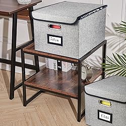 Desihum Collapsible File Organizer Box, filing
