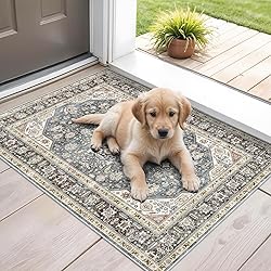 HILORUUG Entryway Area Rugs 2x3: Washable Area Rug