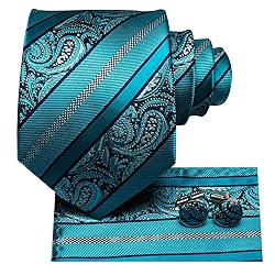 Hi-Tie 3/5 Pcs Gift Box Mens Tie Set Necktie with