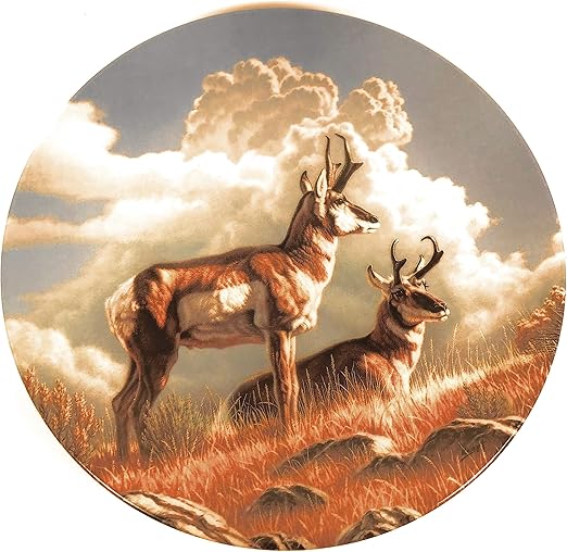 Amazon Com Dominion China Ltd Decorative Display Plate Limited