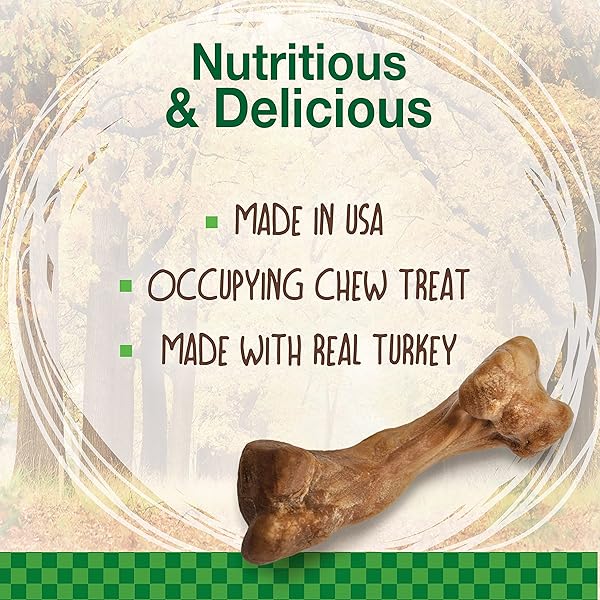 NYLABONE HEALTHY EDIBLES WILD NATURAL LONG-LASTING TURKEY FLAVOR BONE CHEW TREATS FOR DOGS, SMALL/REGULAR (4 COUNT)