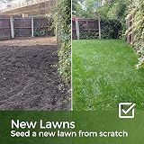 Garden Lawncare Guy ColdPro Winter Grass Seed 1kg Germinates at 5°C view 6