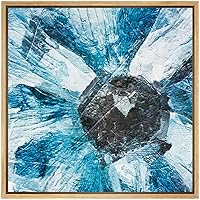 SIGNWIN Framed Canvas Wall Art Anemone Coronaria Blue Poppy Floral Flower Oil Painting Impressionism Modern Closeup Expressive for Living Room, Bedroom, Office - 16
