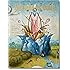 Hieronymus Bosch: Complete Works