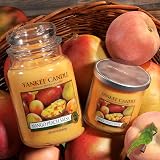 Yankee Candle Mango Peach Salsa Large Jar Scented Candle 150 Hour Burn view 6