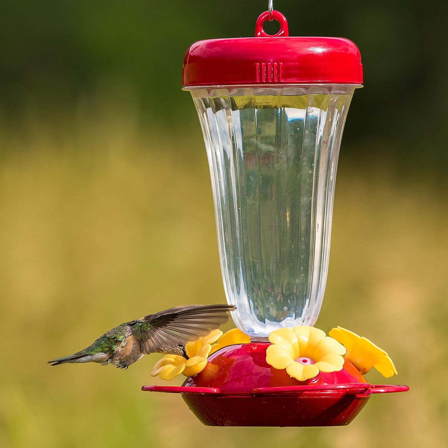 PerkyPet 136TFN Top Fill Hummingbird Feeder with Free Nectar Backyard Birding & Wildlife Feeder