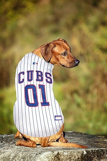 cubs dog jersey