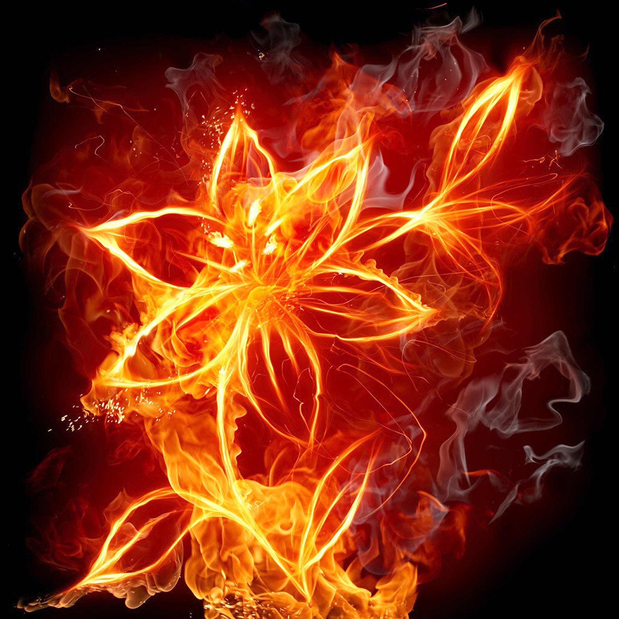 YEESAM ART DIY 5D Diamond Painting Kits for Adults - Abstract Fire Flower - DIY Crystals Diamond Rhinestone Painting Pasted Paint by Number Kits Cross Stitch Embroidery