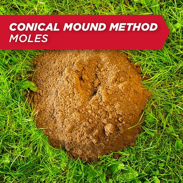 AMDRO AMDRO MOLE AND GOPHER AMDRO MOLE & GOPHER BAIT, CLEAR