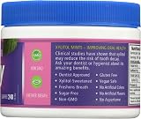Spry Xylitol Berry Blast Mints Sugar Free Candy 240 Count view 7