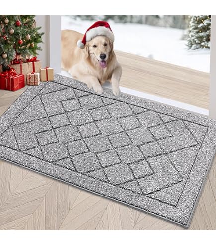 Amazon.com: REFETONE Indoor Doormat, Front Door Mat 20