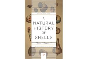 A Natural History of Shells (Princeton Science Library Book 123)