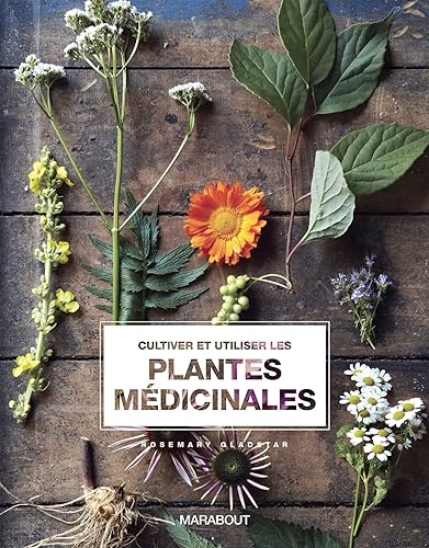 Download CULTIVER ET UTILISER LES PLANTES MEDICINALES PDF