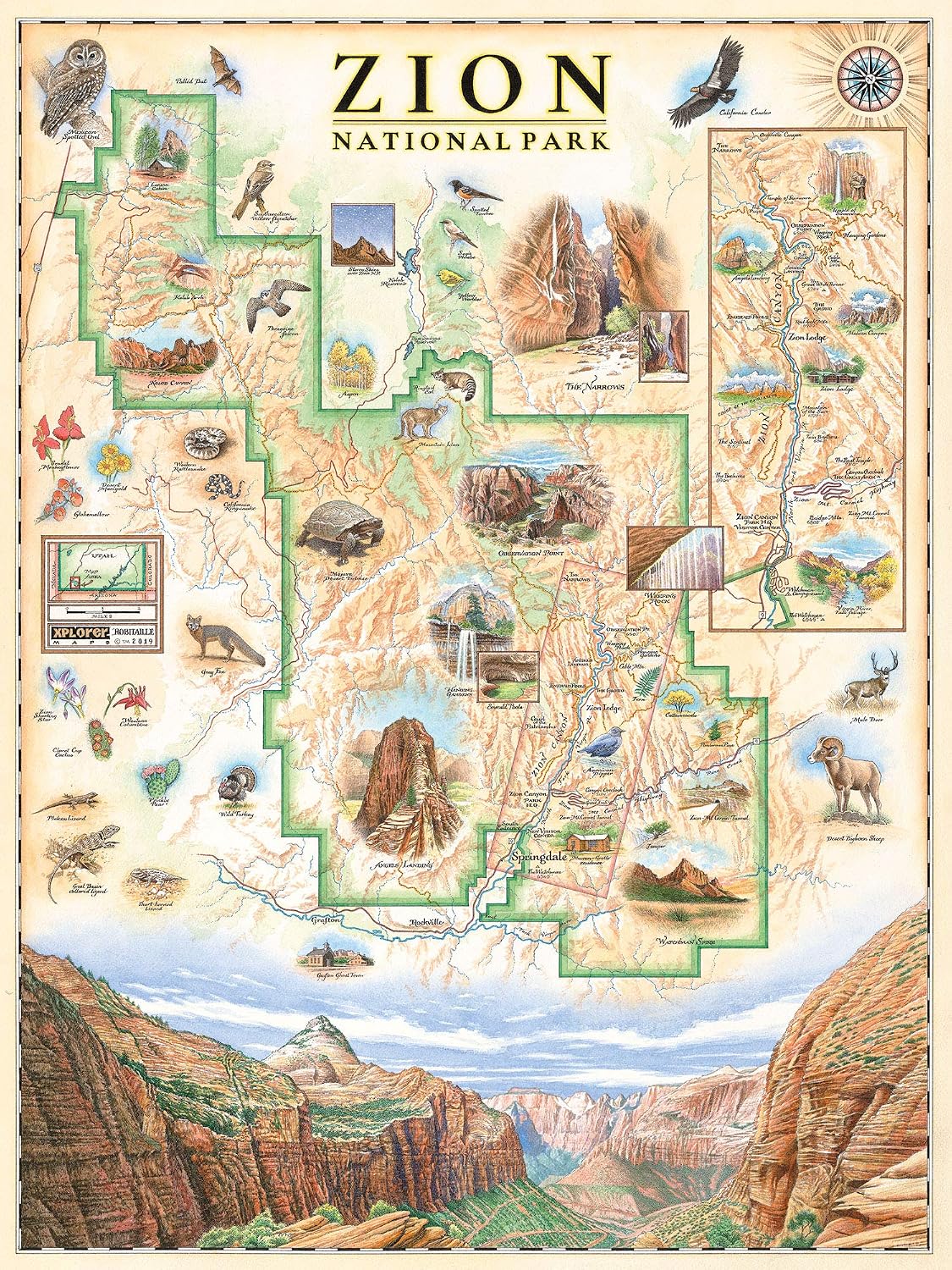 Amazon Zion National Park Map Wall Art Poster Authentic Hand