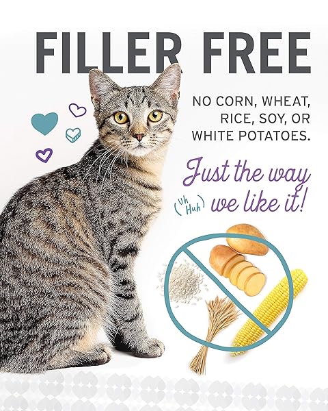 I AND LOVE AND YOU WET CAT FOOD – NINJA CAT JIU JIT STEW VARIETY PACK – CHICKEN, SALMON, TUNA, GRAIN FREE, FILLER FREE, 3OZ PACK OF 12 CANS