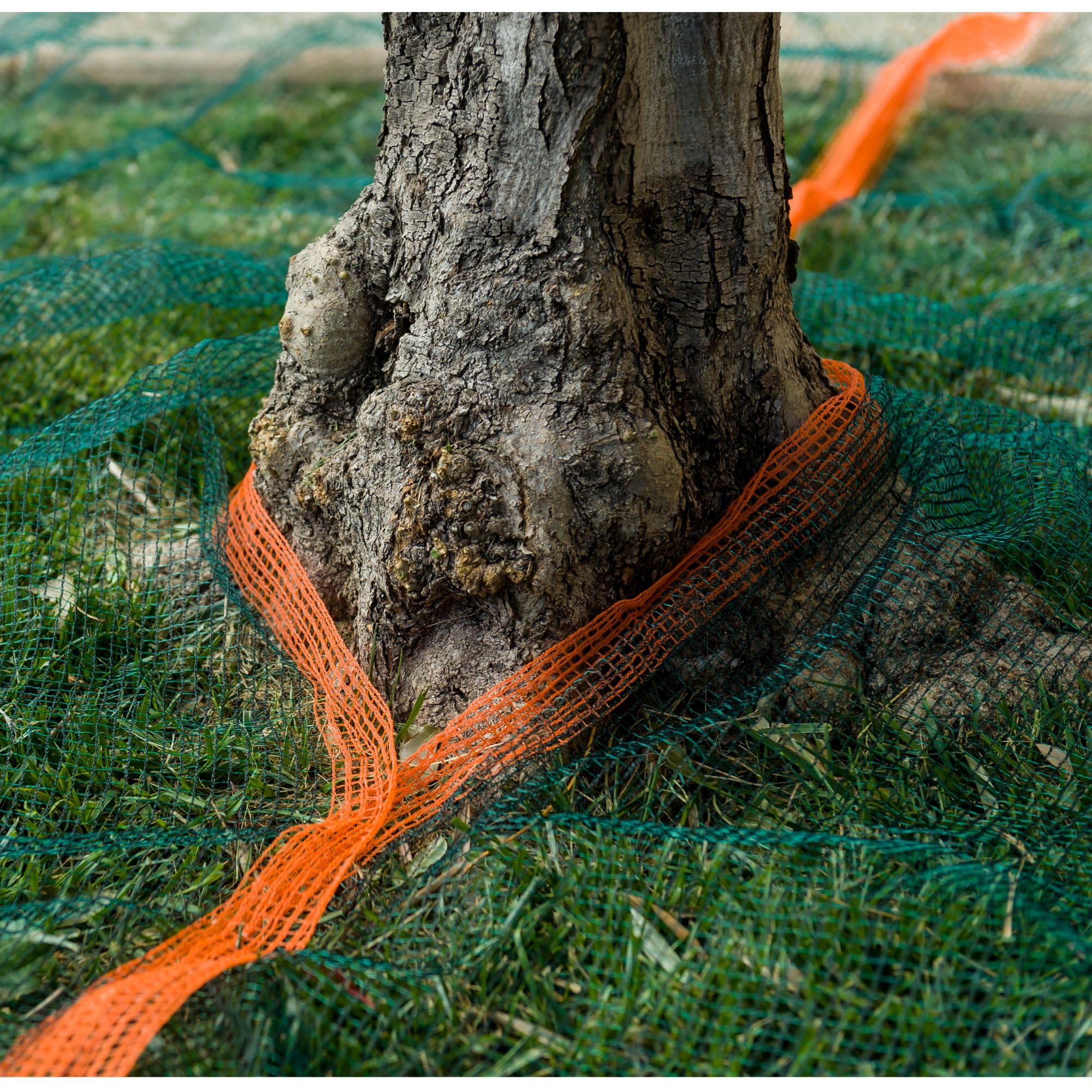 WERKA PRO Olive Net 50 g/m² 4 x 4 m - 16 m²