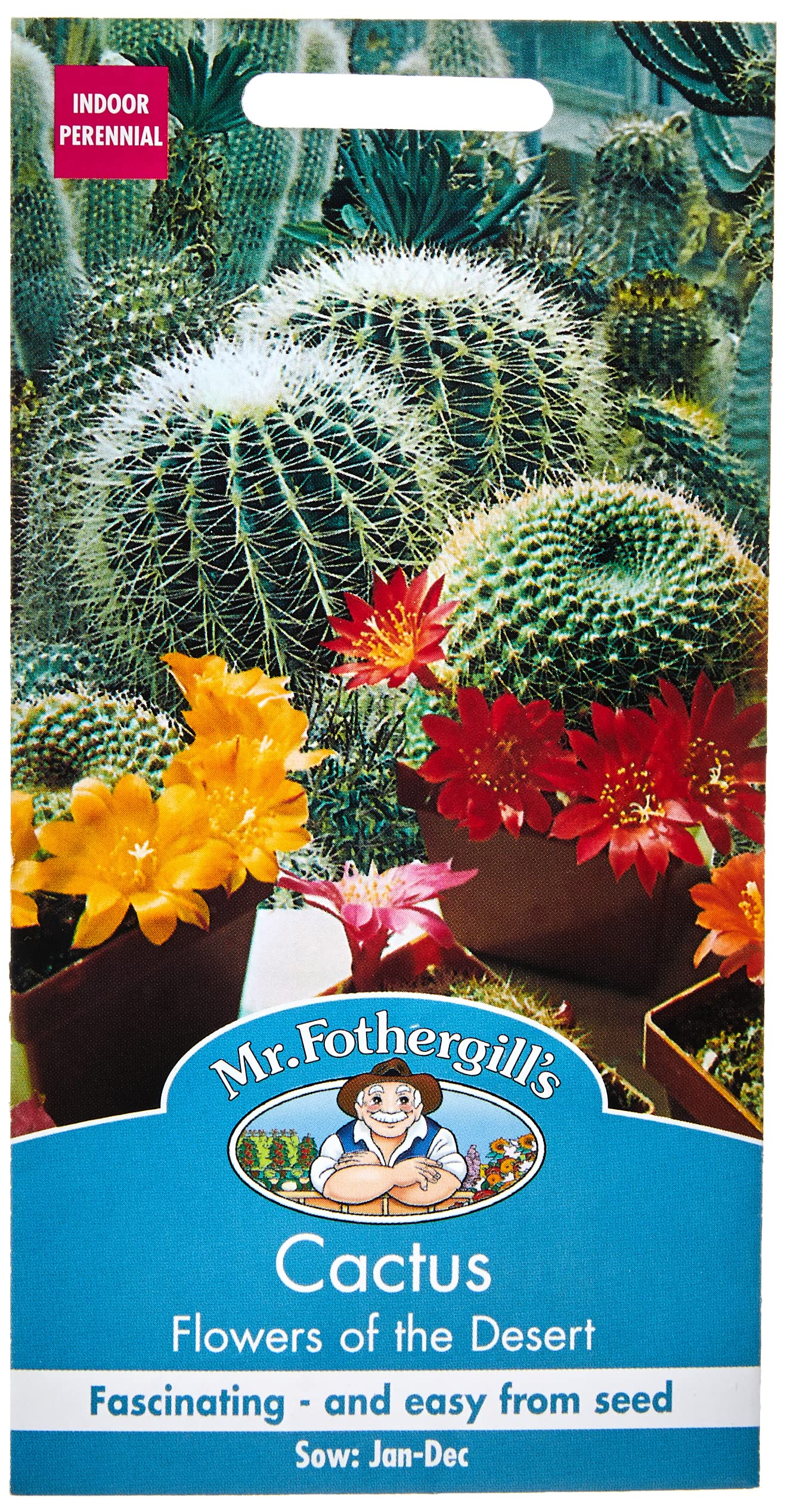 Mr Fothergill's Cactus Flowers of The Desert
