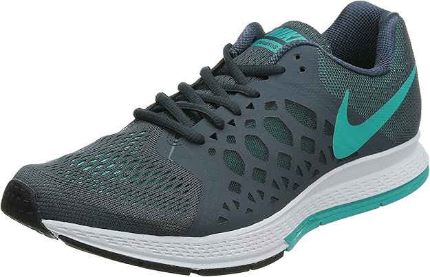nike zoom pegasus 31 mens