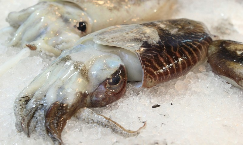 Ragda Patties Mumbai - //medicalbooks.filipinodoctors.org