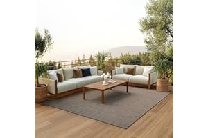 Nourison Positano Indoor-Outdoor Natural 8' x 10' Area Rug, Easy Cleaning, Non Shedding, Bed Room, Living Room, Dining Room, Backyard, Deck, Patio (8x10)