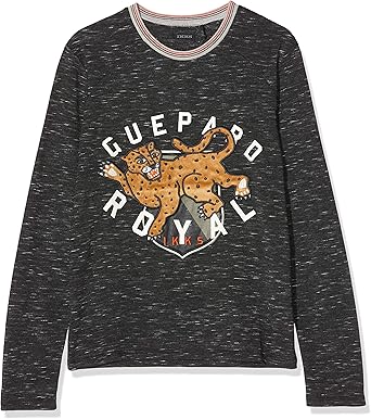 Ikks Junior Tee Shirt Ml Guepard Royal Camiseta Gris Gris Chine Anthracite 28 14 Anos Talla Del Fabricante 14a Para Ninos Amazon Es Ropa Y Accesorios