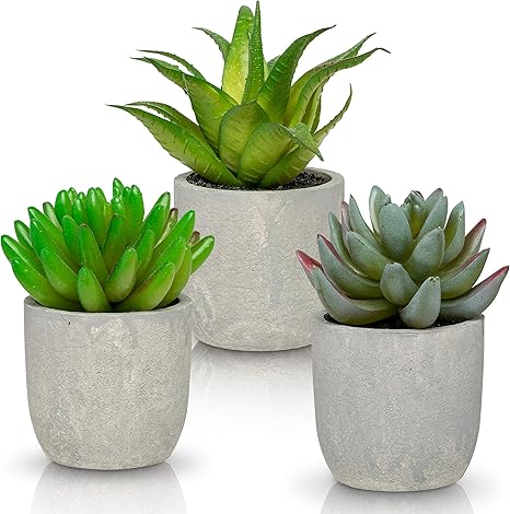 Amazon Ashbrook 屋外用人工多肉植物 鉢付き 3個セット 鉢植えライトグレーの多肉植物植物 3つ オフィスや机 リビング ルームなどのモダンなインテリアアクセント 人工観葉植物 オンライン通販