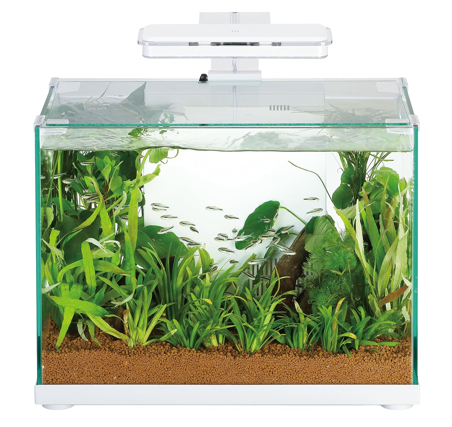 スタンダード40 B078jfc1xf アクスト 寿工芸 水槽 本物保証 Www Brti Co Zw