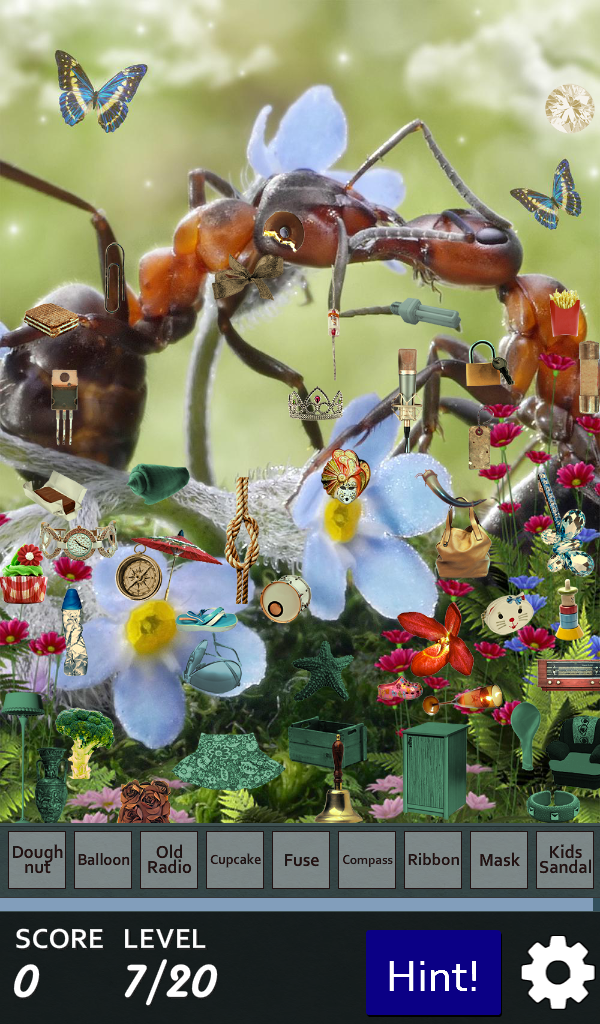Hidden Object - Ant Farm