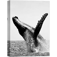 SIGNWIN Canvas Wall Art A Large Humpback Whale Jump in The Sea Marine Life Ocean Photography Modern Art Beach Dramatic Black and White for Living Room, Bedroom, Office - 12x18 inches