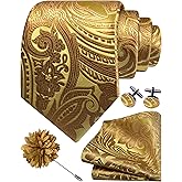 GUSLESON Paisley Tie Set for Men 3.15" Necktie Lapel Pin Hankerchief Cufflinks Set for Men