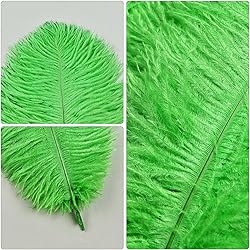 THARAHT Green Ostrich Feathers 24pcs Natural Bulk